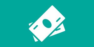 cash icon